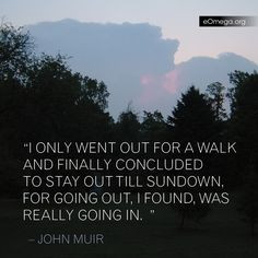 john muir more john muir quotes favorite john muir quote
