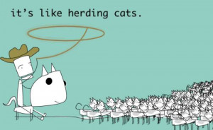 it s like herding cats herding herd cats lasso horse ralph ralph the ...