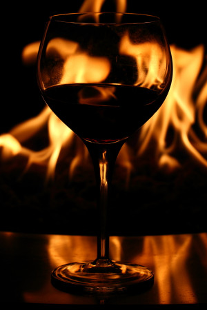 Home on the Range: Canon Fodder - Quote for a Monday