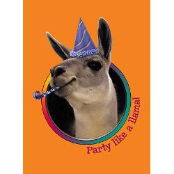 llama_birthday_party_invitations_6.jpg?height=250&width=250 ...