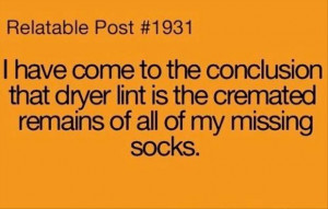 funny socks, dryer lint, quotes