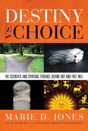 Destiny or Choice: Who’s Zooming Who? By Marie D. Jones