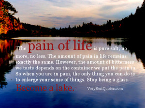 The pain of life is pure salt – Inspirational Story