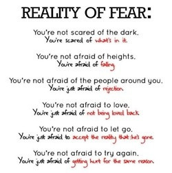 Reality of fear. YES! i always say, i'm not afraid of heights, i'm ...