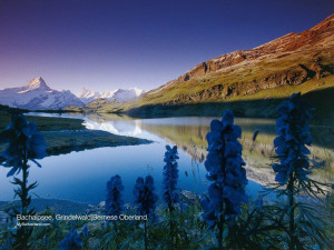 Free Picture > Travel Switzerland travel landscape