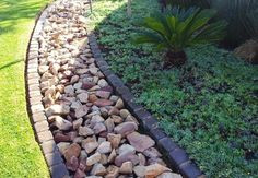 For my front yard, areas near driveway where there's no grass and ...