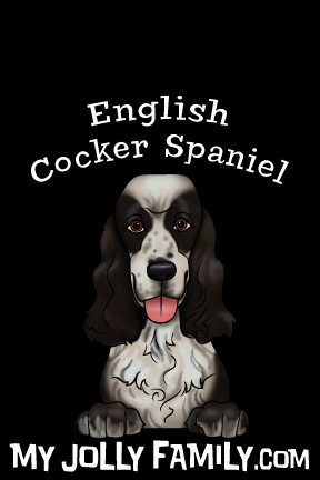 English Cocker Spaniel Black and White