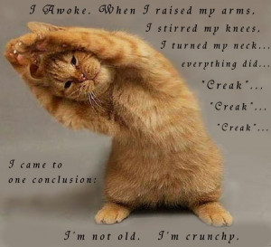 not old – I’m crunchy