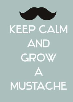Funny Mustache Quotes...