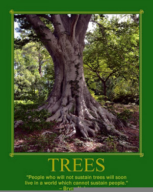 must go to Nature disarmed of perspective and stretch myself like a ...