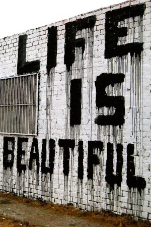 Still. There is beauty everywhere