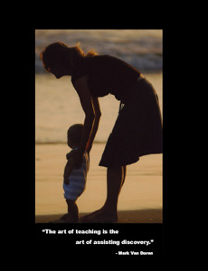 the art of teaching is the art of assisting discovery