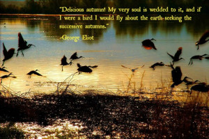 14 Fabulous Fall Quotes: Wonderful Words for Autumn!