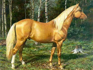 Golden Palomino Horse Wallpaper