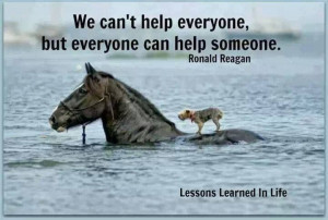 Pinned by Rachel Isaman