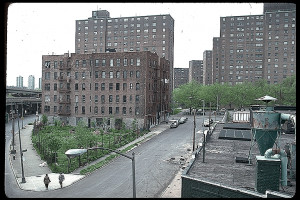 This lot is still vacant, but they plant vegetables there nowdays.