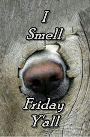 smell Friday comin y'all!