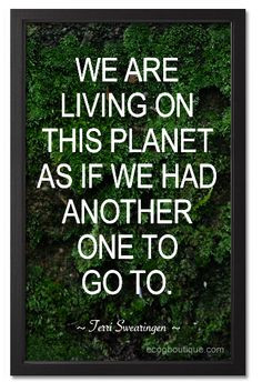 green quote about mother nature - we are living as there is another ...
