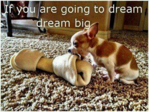 Pinned by Trinnie Velasquez