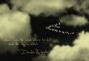 ... ducks # hockey # mighty ducks # quack quack quack # quotes # photoshop