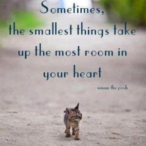 room in your heart - winnie the pooh Cat, Inspiration, Heart, Quotes ...
