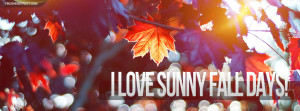 Love Sunny Fall Days Facebook Cover