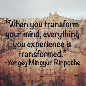 transformation #wisdom #quote #attitude #perception