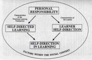 The PRO Model of self-directed learning