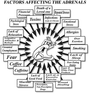 Tell tale signs of adrenal fatigue: