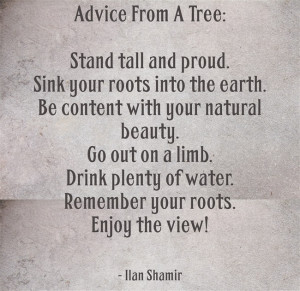 Stand Tall And Proud Quotes Wise