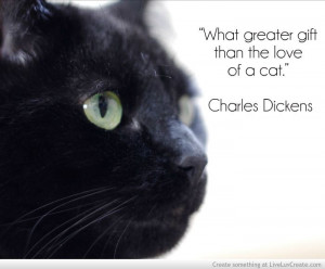 cat quotes what greater gift than the love of a cat charles dickens