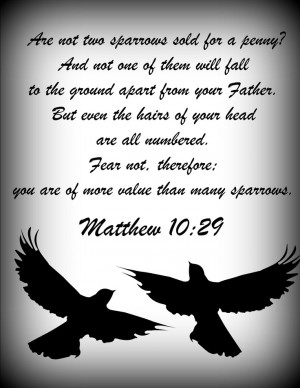 His eye is on the sparrow!