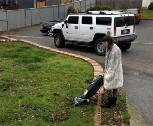Mowing The Lawn With Vacuum Cleaner - Image