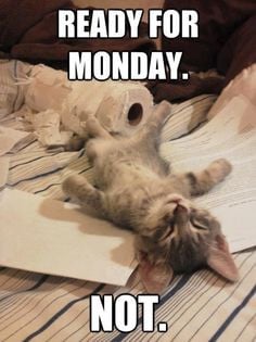 ... funny monday picture quotes 15 funny monday morning quotes and the two