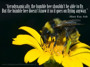 ... bee doesnt know it so it goes on flying anyway. -Mary Kay Ash #quotes