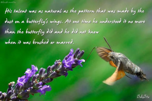 Cute Quotes About Butterflies