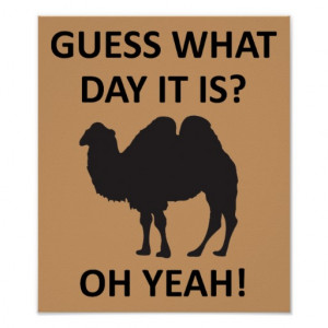 Hump Day Camel Funny Wednesday Poster Sign