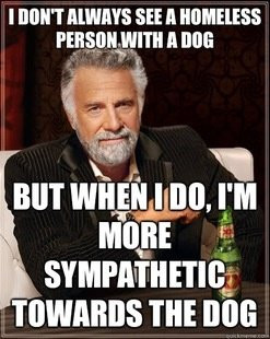 The Most Interesting Man In The World Funny Quotes The most ...