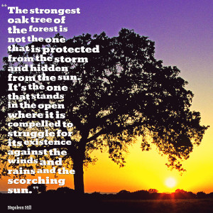 Quotes Picture: the strongest oak tree of the forest is not the one ...