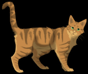 Warrior Cats Forever! discussion
