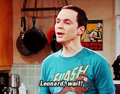 Big Bang Theory sheldon cooper leonard hofstadter Big Bang Theory damn ...