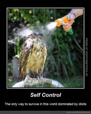 Funny Picture - Self control the only way to survive in a world ...
