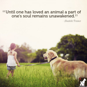 Quotes About Pets And Love...