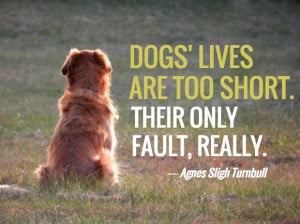 Love Dog Quotes Death
