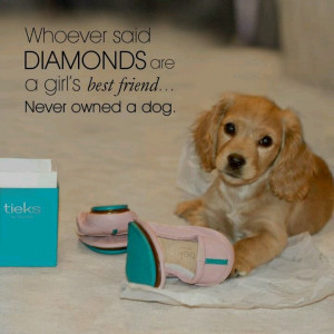 Dogs better than diamonds