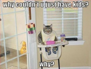 June 10, 2013 | No Comments » | Topics: Animals , Funny Pictures