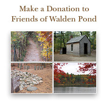 ... walden pond,walden pond thoreau book,walden pond thoreau quotes,walden