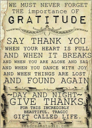 Gratitude... say Thank You!