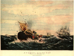 Whaling for sperm whales. Illustration by Currier & Ives, 1850s ...
