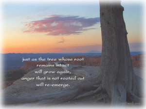 Quote About Anger, anger that is not rooted out will re-emerge